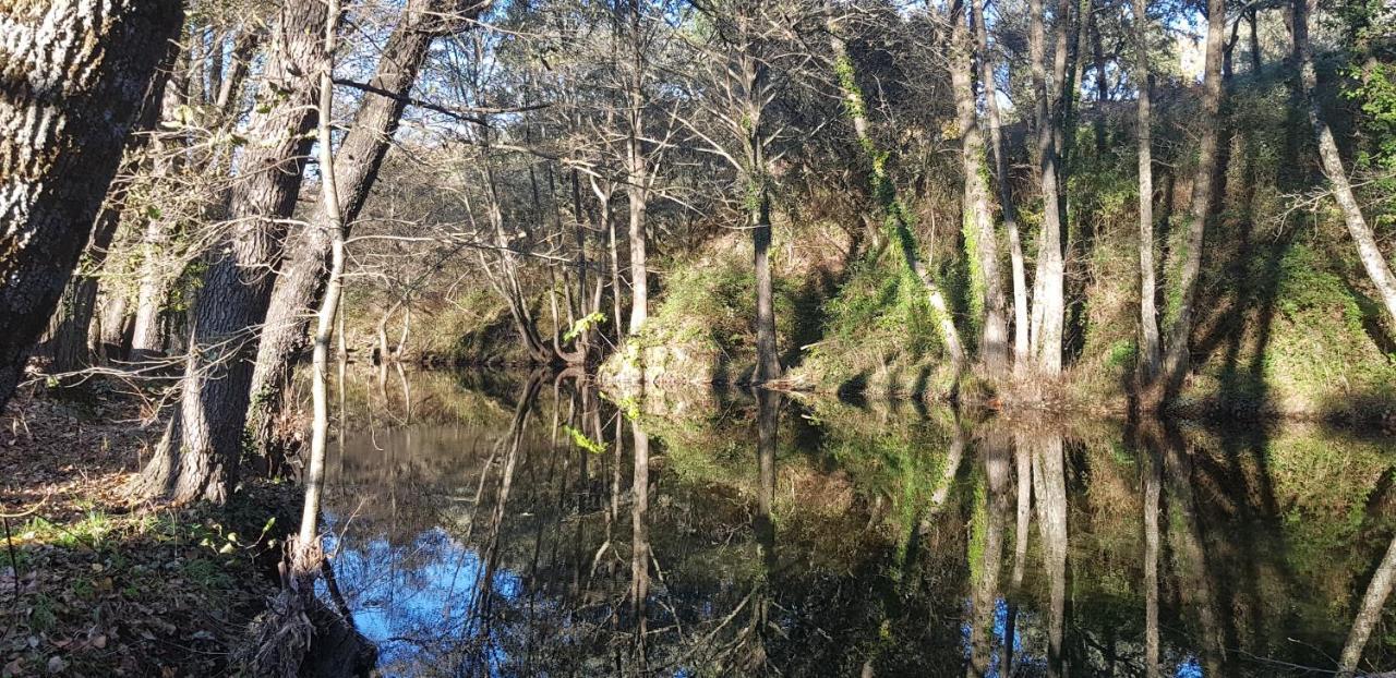 Esencia De Gredos Ramacastanas Exterior foto